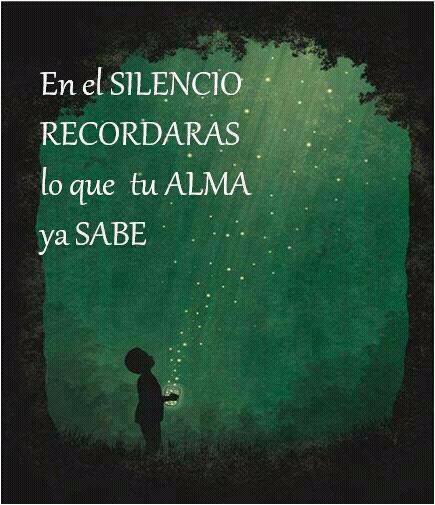 reflexion-120